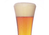 Craft Beer Style Guide