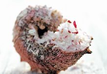Perfectly Seasoned | Sea Salt