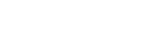 Palm Beach Illustrated