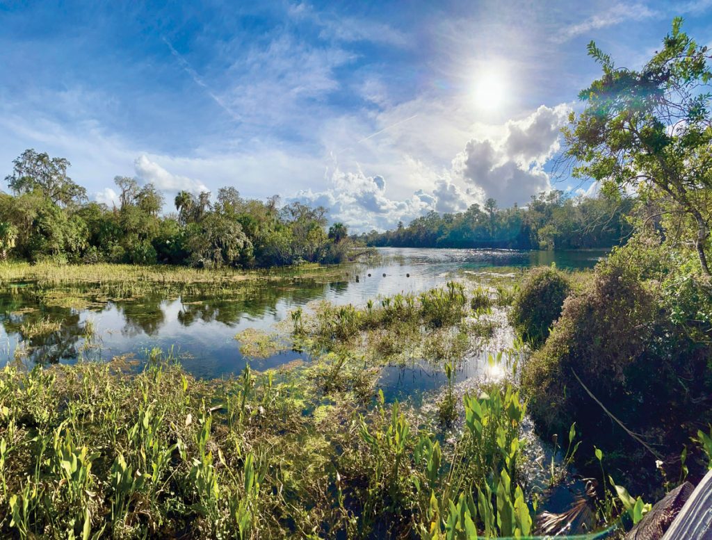 The Rainbow River. Photo by Brent Fannin