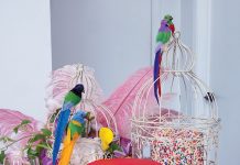 Feel The Pride The Birdcage 6. Photography by Jerry Rabinowitz