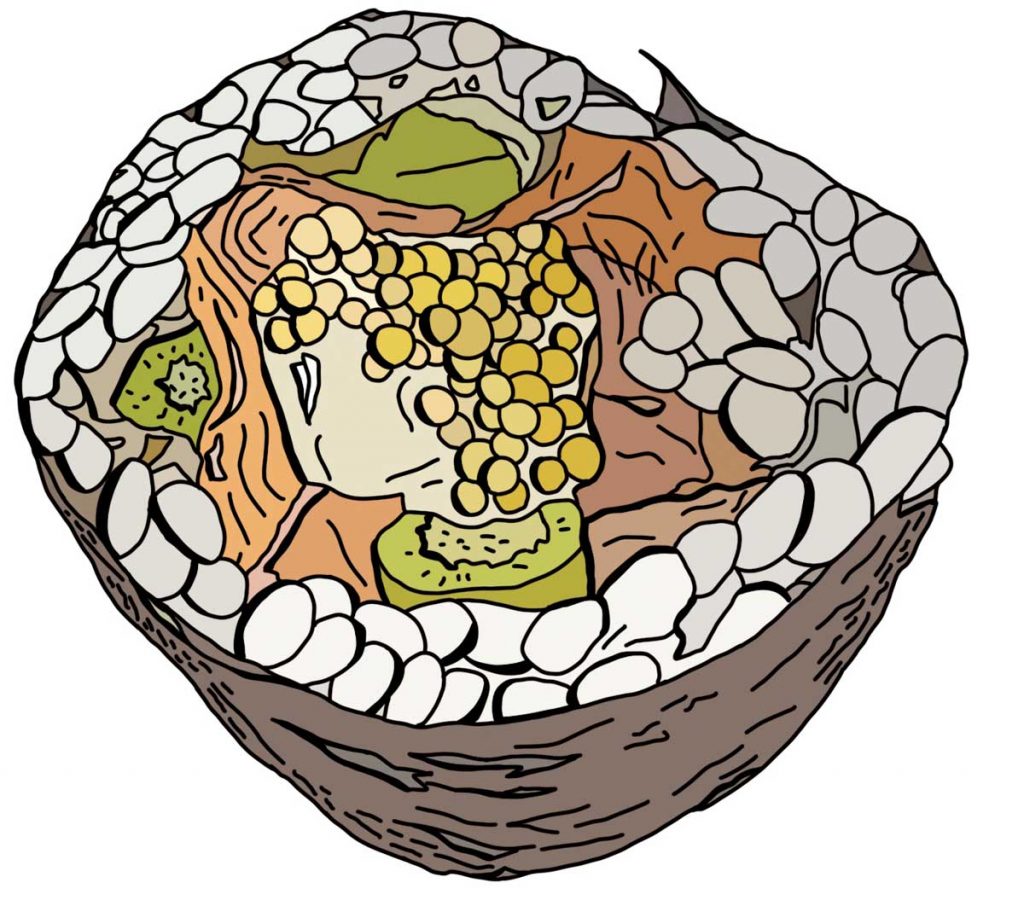 Salmon Shiso Asparagus. Illustrations by Patricia Maldonado