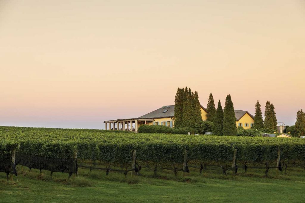 Courtesy Wölffer Estate Vineyard