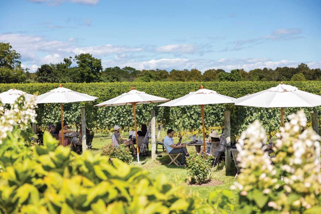 Joey Wölffer co-owns Wölffer Estate Vineyard, which occupies 55 acres of the Wölffer Estate in Sagaponack, New York. Courtesy Wölffer Estate Vineyard