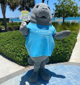 Meet Mia the Manatee during Plastic Free July. Photo courtesy of Manatee Lagoon