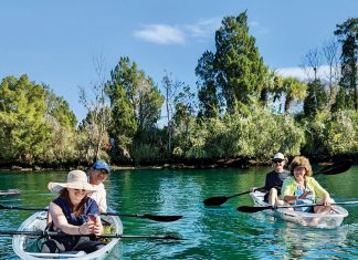 The Florida 20: Must-Do Sunshine State Staples Swim with wild manatees in Crystal River. Photo by Justin Buzzi