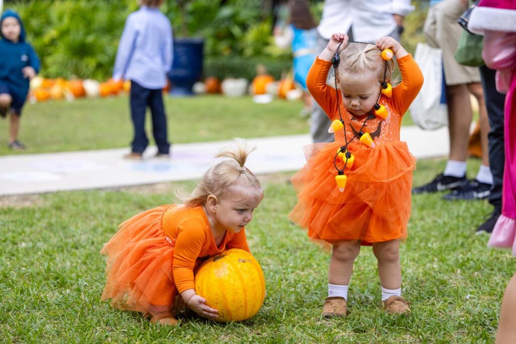Visit the Pop-Up Pumpkin Patch for Philanthropy October 15-18. Photo courtesy of The Royal Poinciana Plaza
