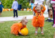 Get Festive at the Pop-Up Pumpkin Patch for Philanthropy Visit the Pop-Up Pumpkin Patch for Philanthropy October 15-18.