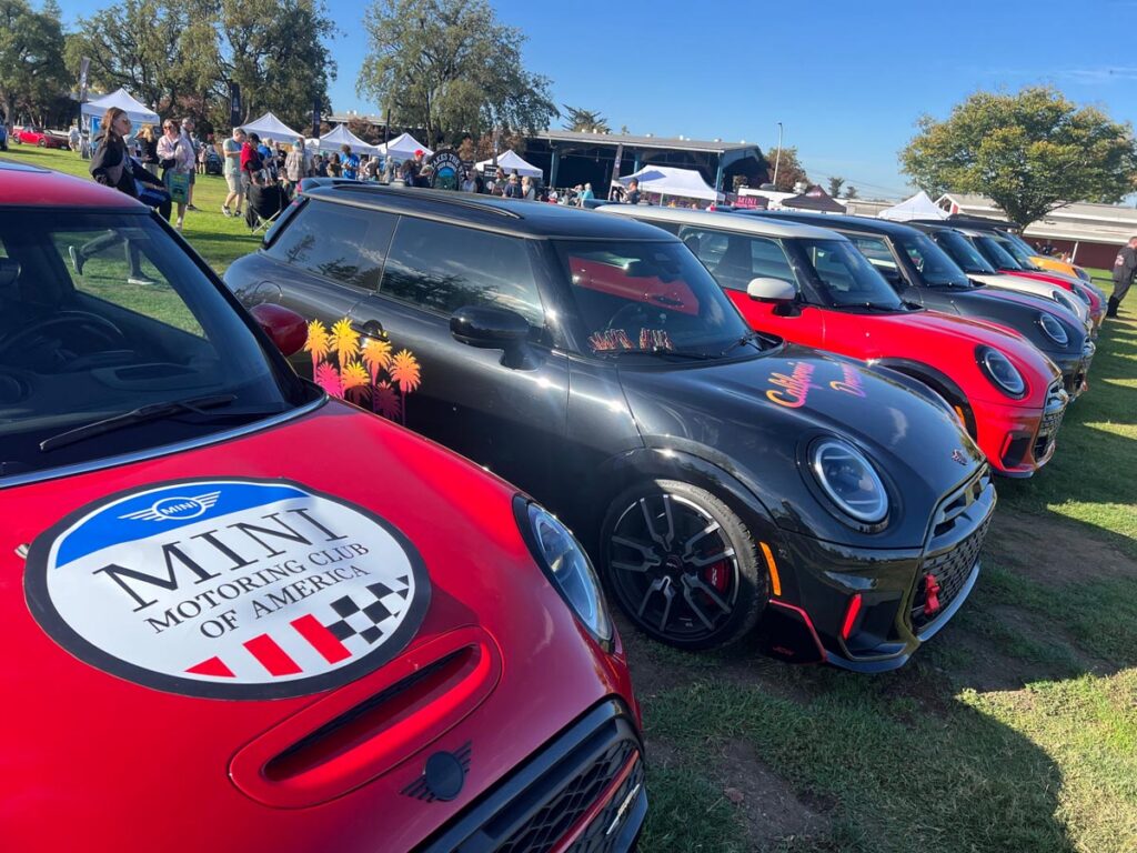 The rally lineup. Photo courtesy of MINI